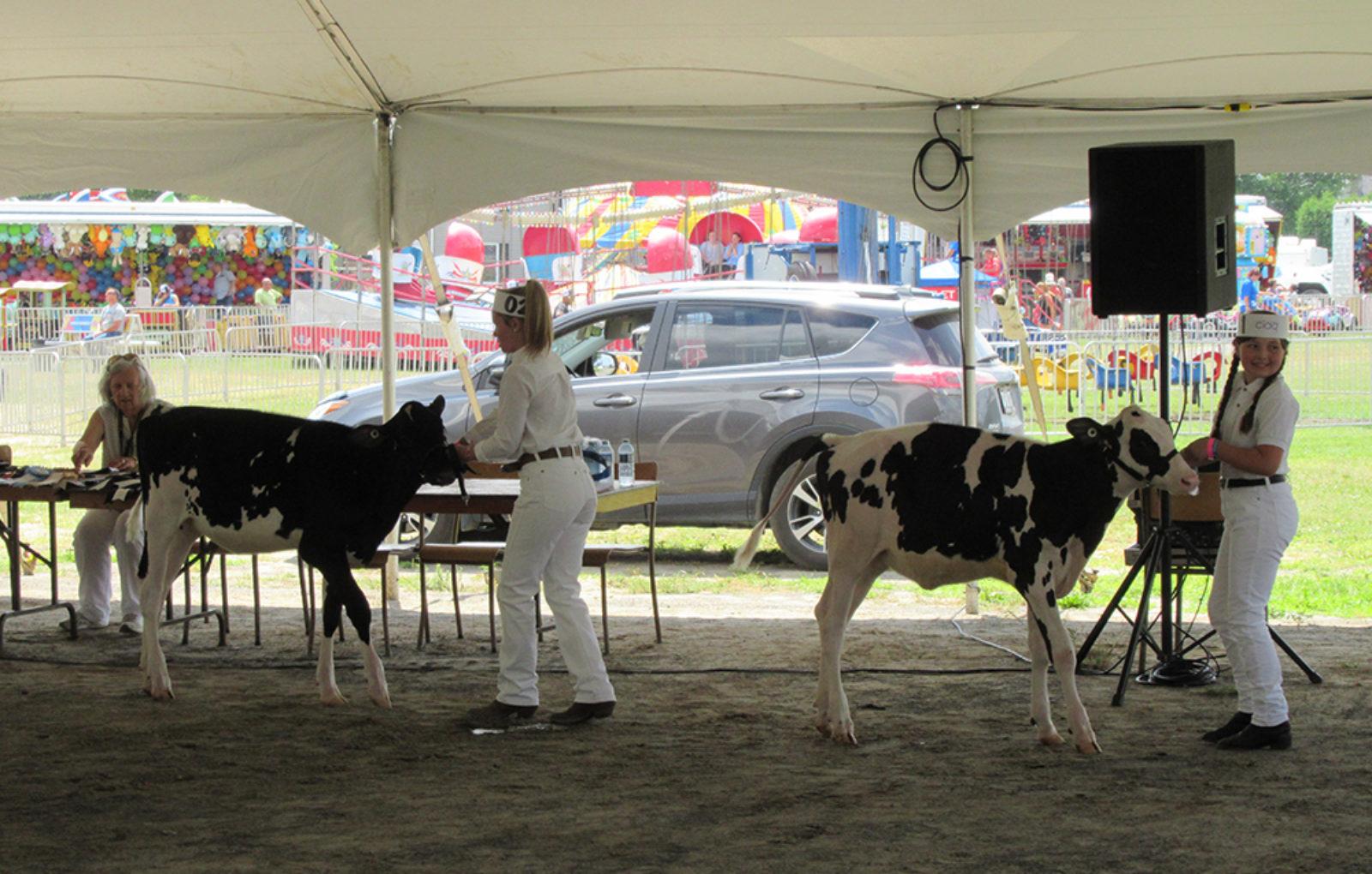 JM_JY1319_LachuteFairDairy04