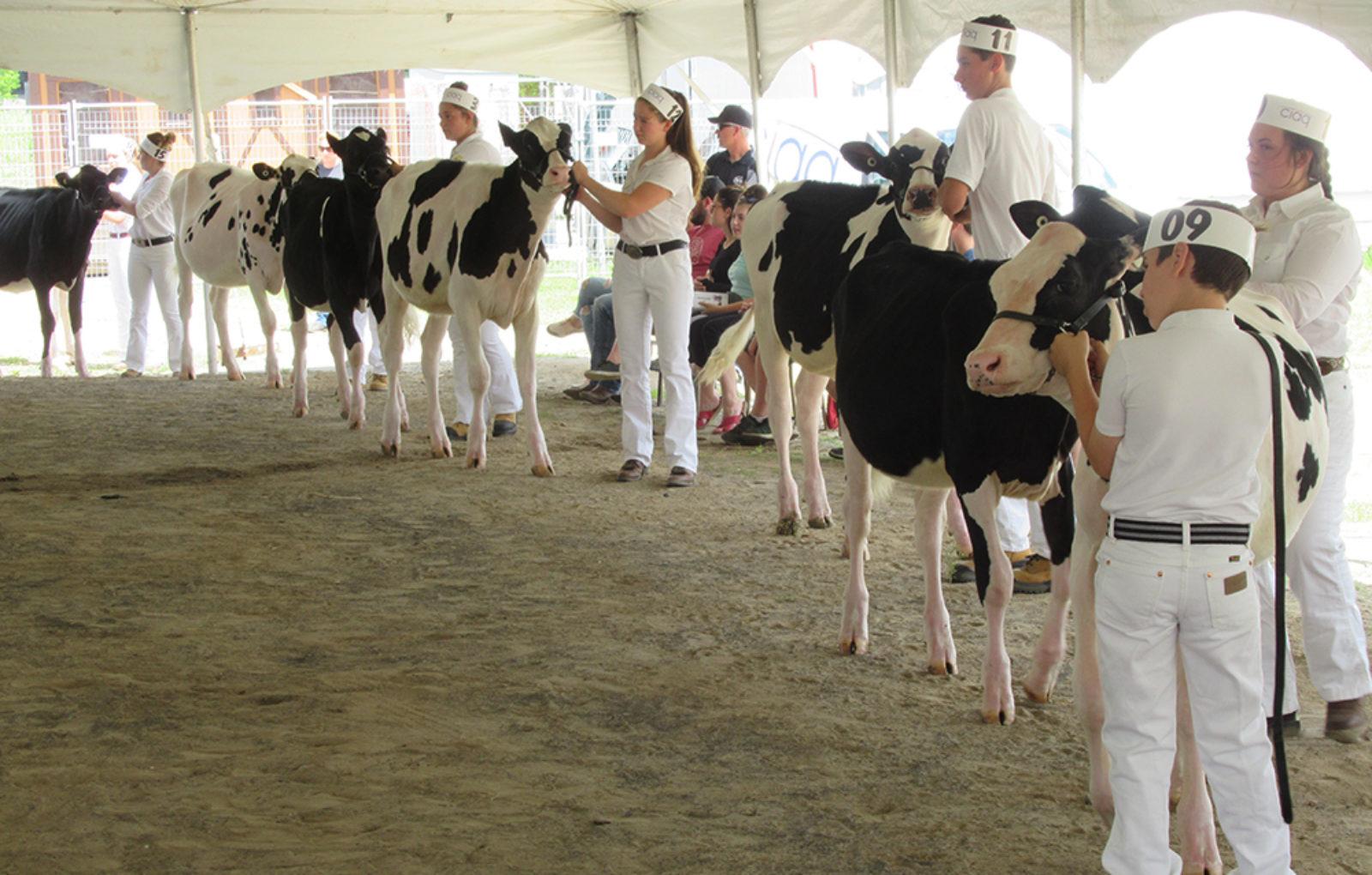 JM_JY1319_LachuteFairDairy06