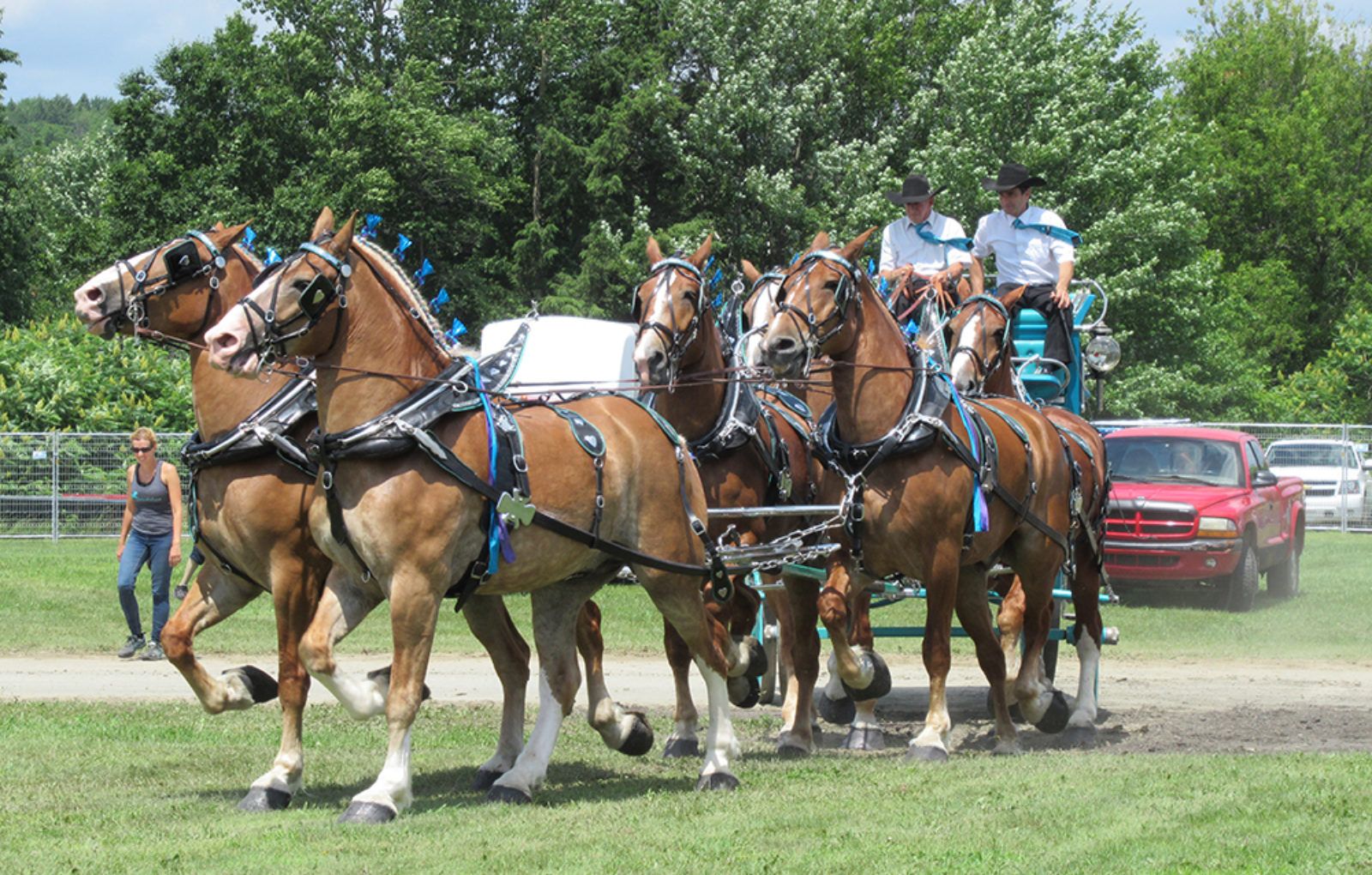 JM_JY1319_LachuteFairHorses01