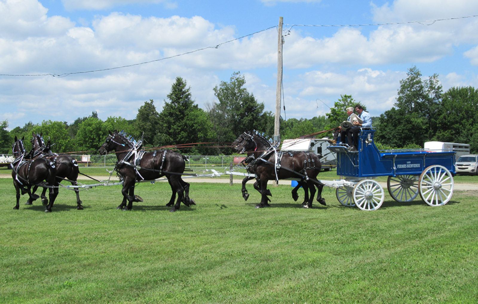 JM_JY1319_LachuteFairHorses02