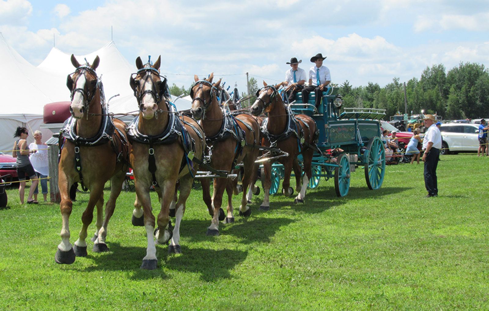 JM_JY1319_LachuteFairHorses03