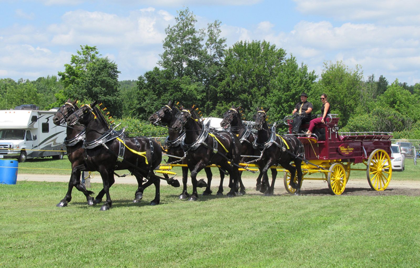 JM_JY1319_LachuteFairHorses04