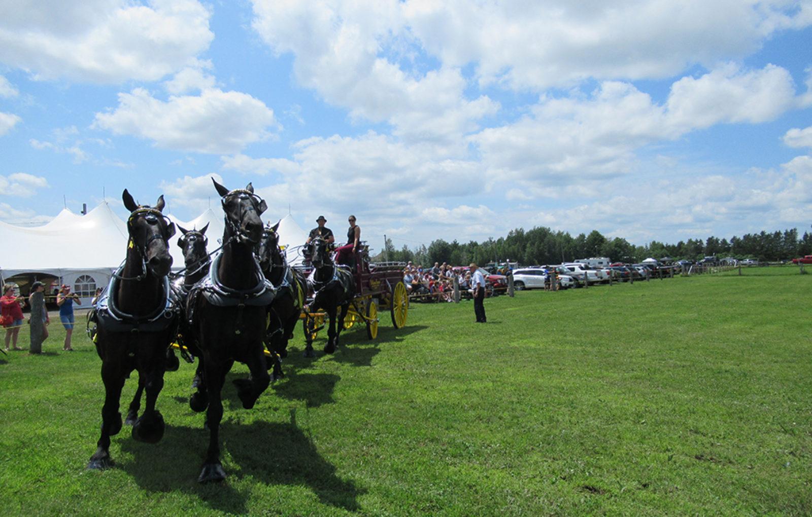 JM_JY1319_LachuteFairHorses05