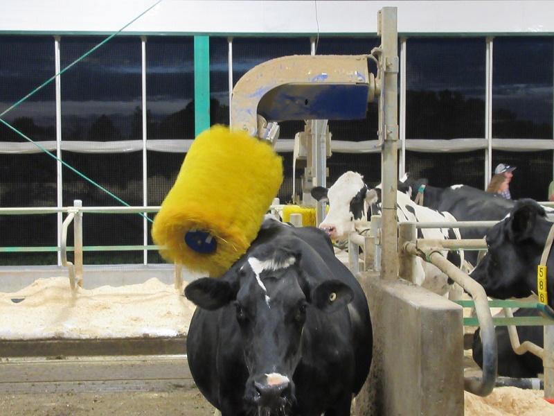 Farmers say people should visit a farm to learn about where their food comes from and about the work farmers do