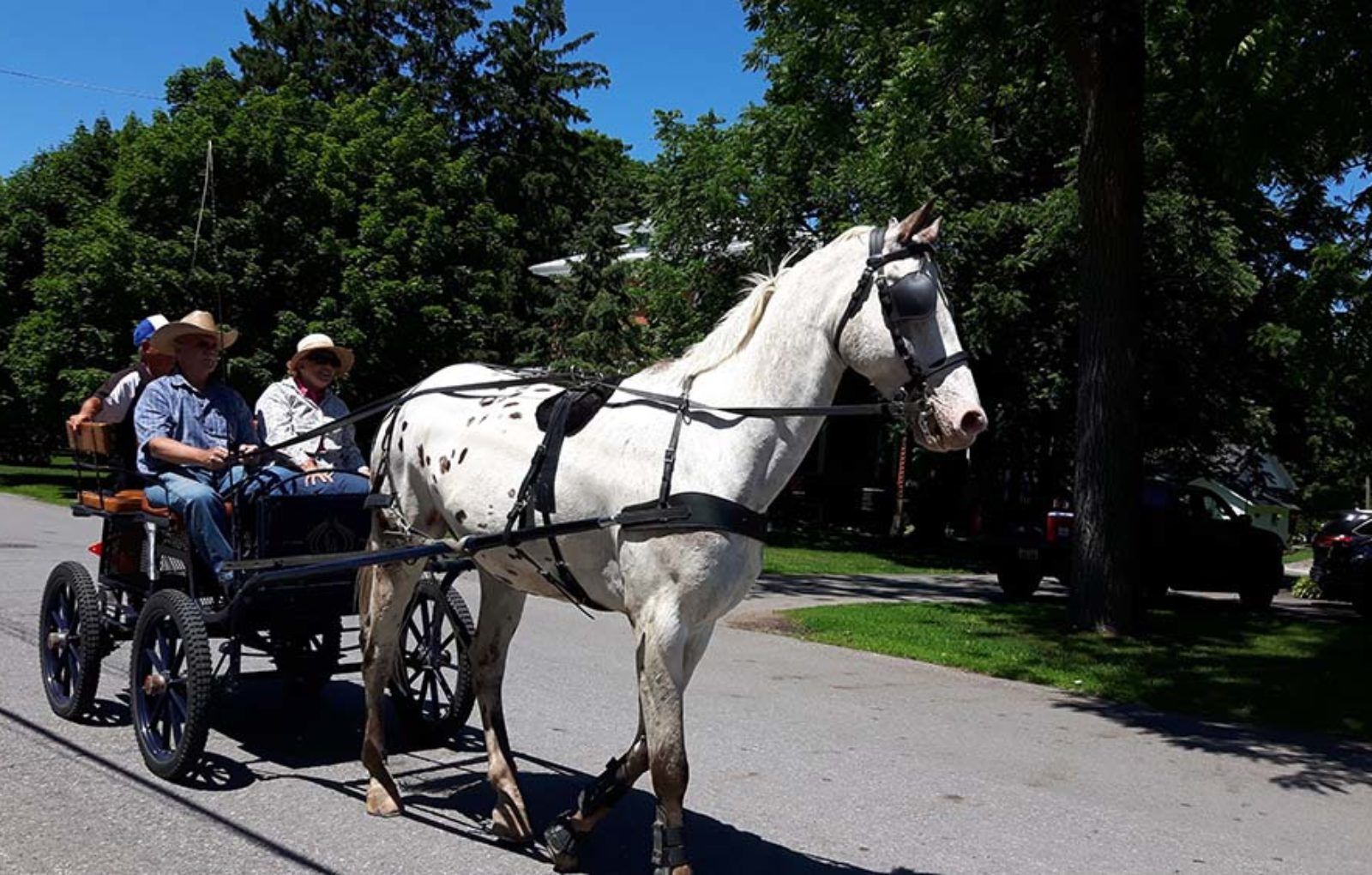 LS_July 10 2019 Horse and Buggy Parade (13)