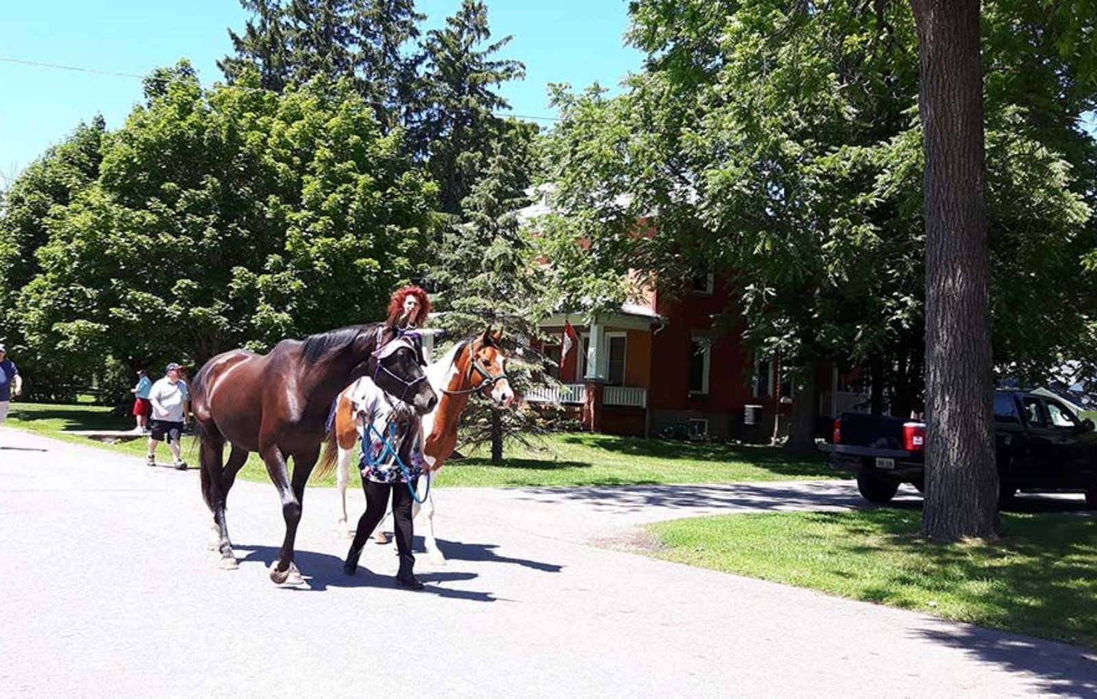 LS_July 10 2019 Horse and Buggy Parade (14)