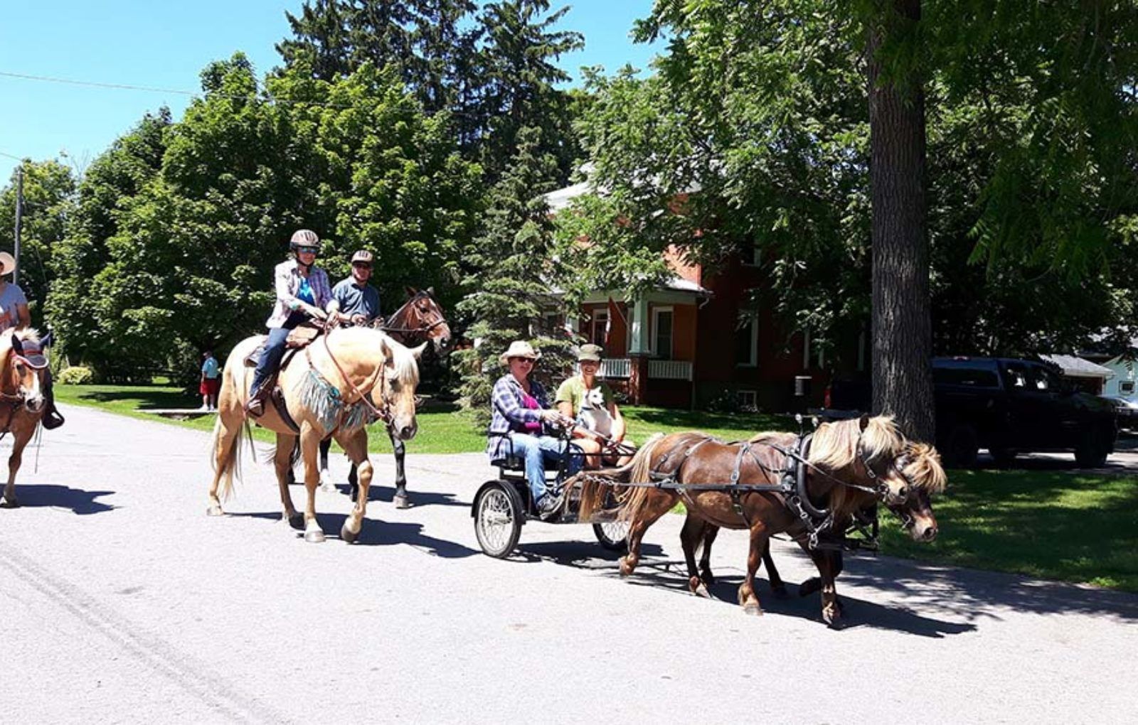 LS_July 10 2019 Horse and Buggy Parade (23)