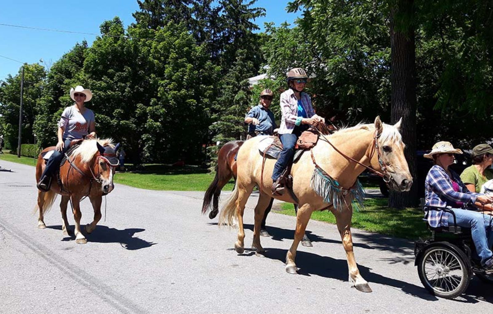 LS_July 10 2019 Horse and Buggy Parade (24)