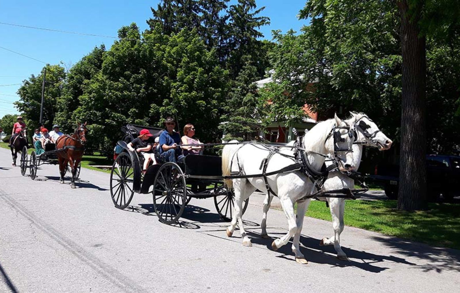 LS_July 10 2019 Horse and Buggy Parade (26)