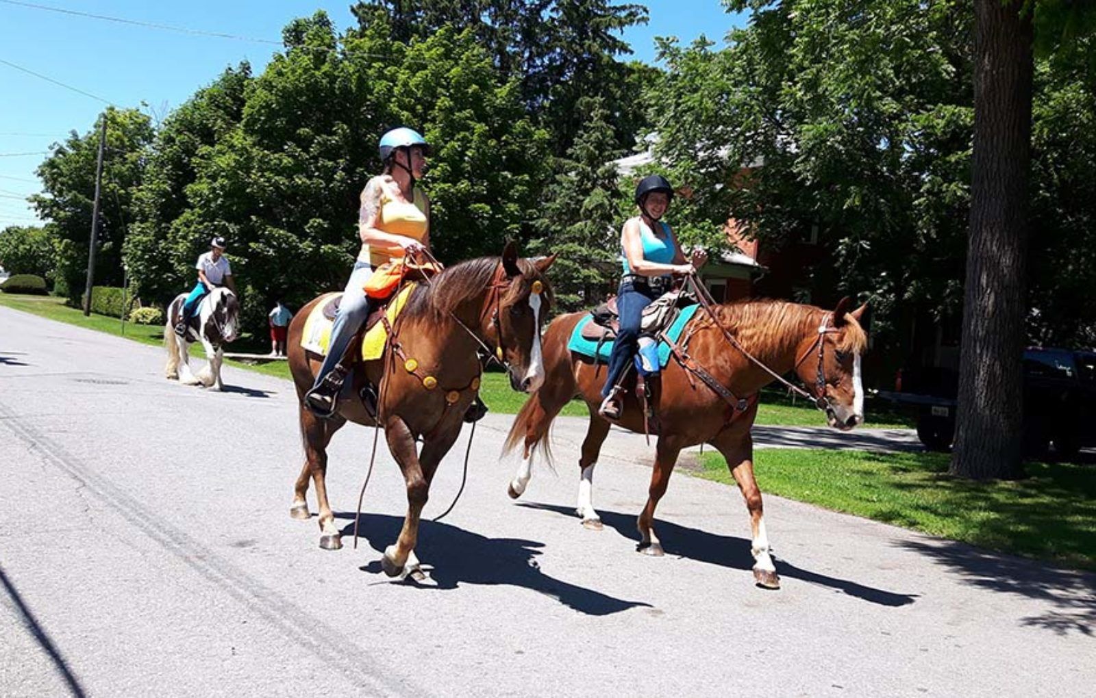 LS_July 10 2019 Horse and Buggy Parade (36)