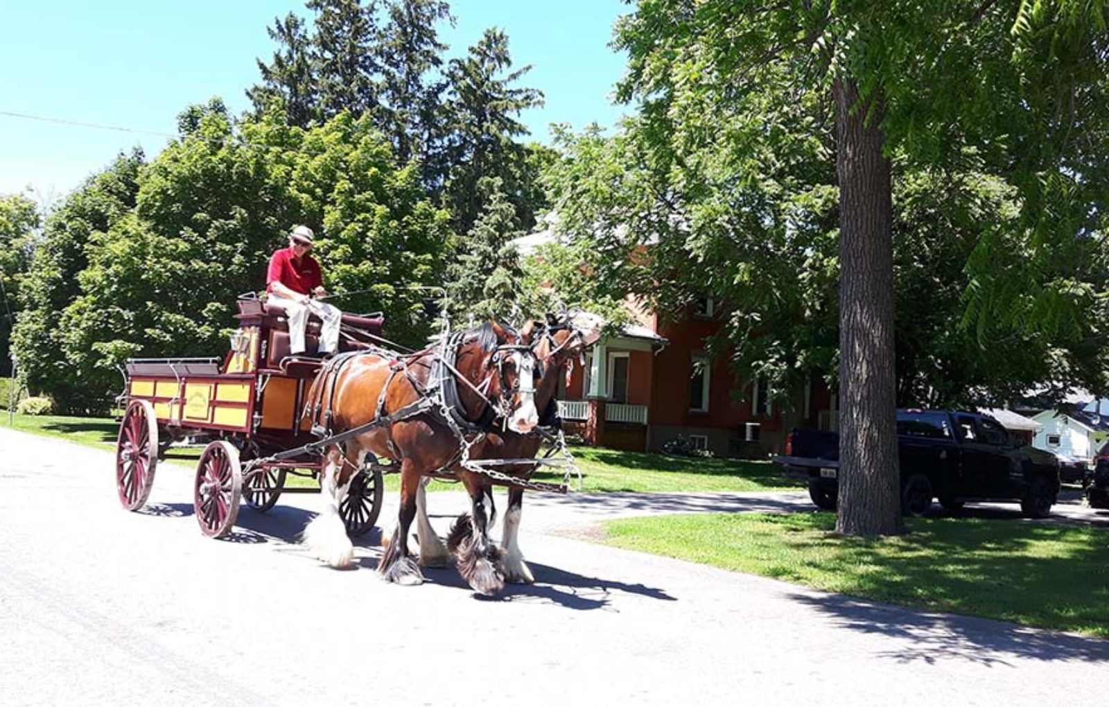 LS_July 10 2019 Horse and Buggy Parade (41)