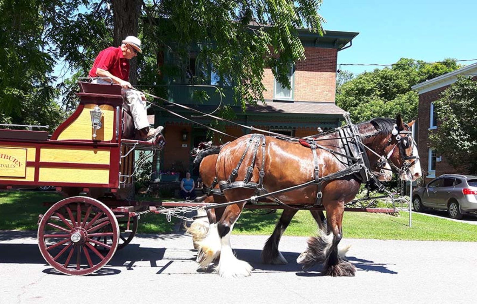 LS_July 10 2019 Horse and Buggy Parade (42)