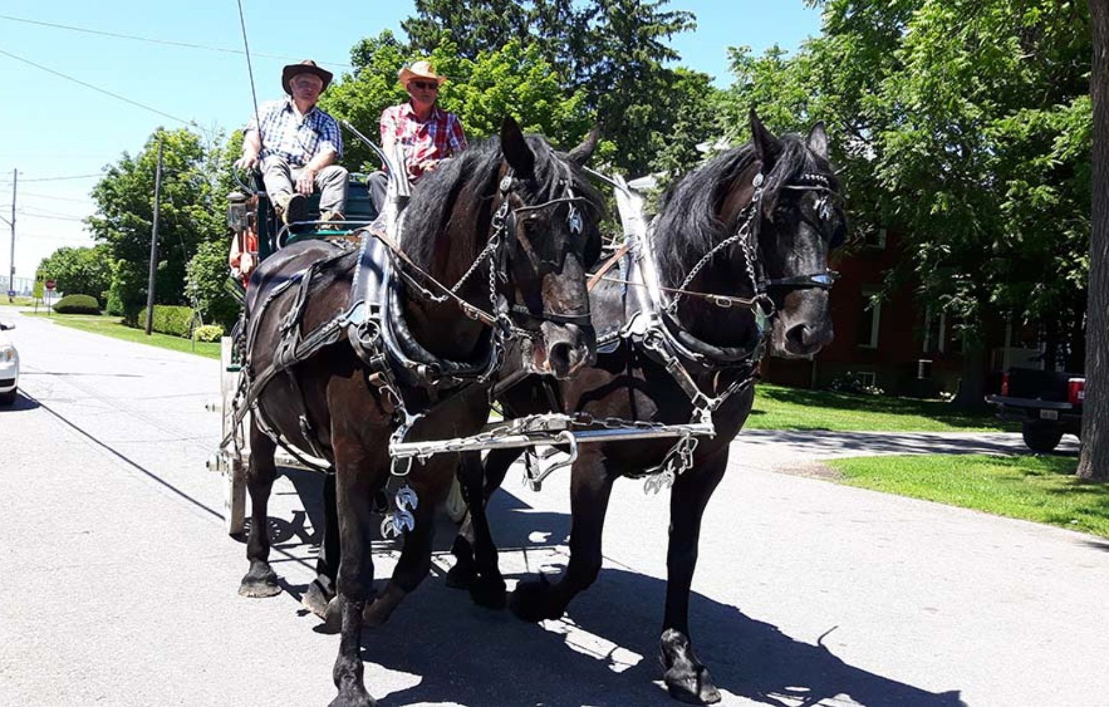 LS_July 10 2019 Horse and Buggy Parade (56)