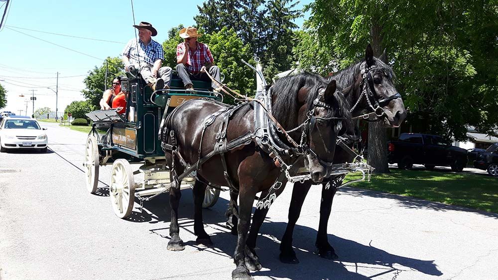 Vankleek Hill’s Horse and Buggy Parade: 2019