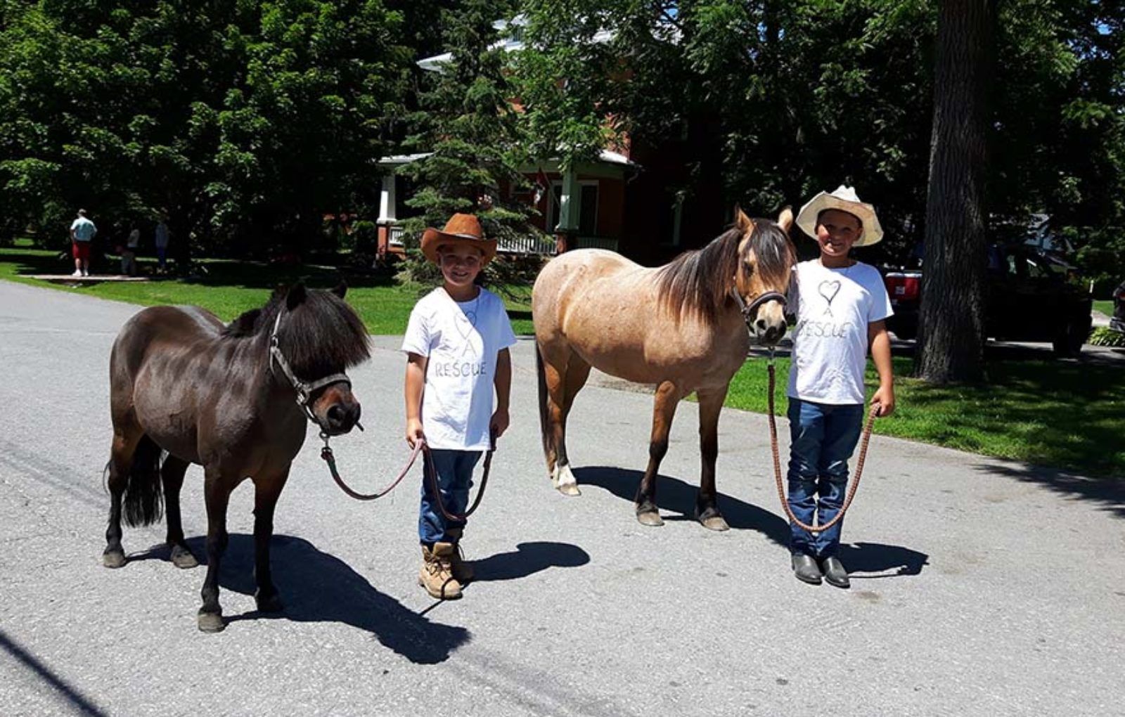 LS_July 10 2019 Horse and Buggy Parade (67)