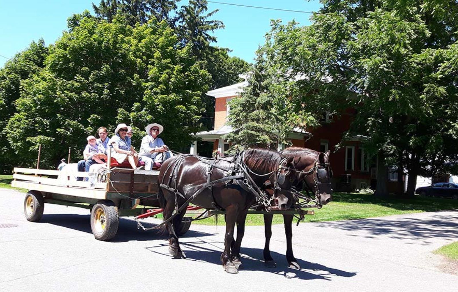 LS_July 10 2019 Horse and Buggy Parade (69)