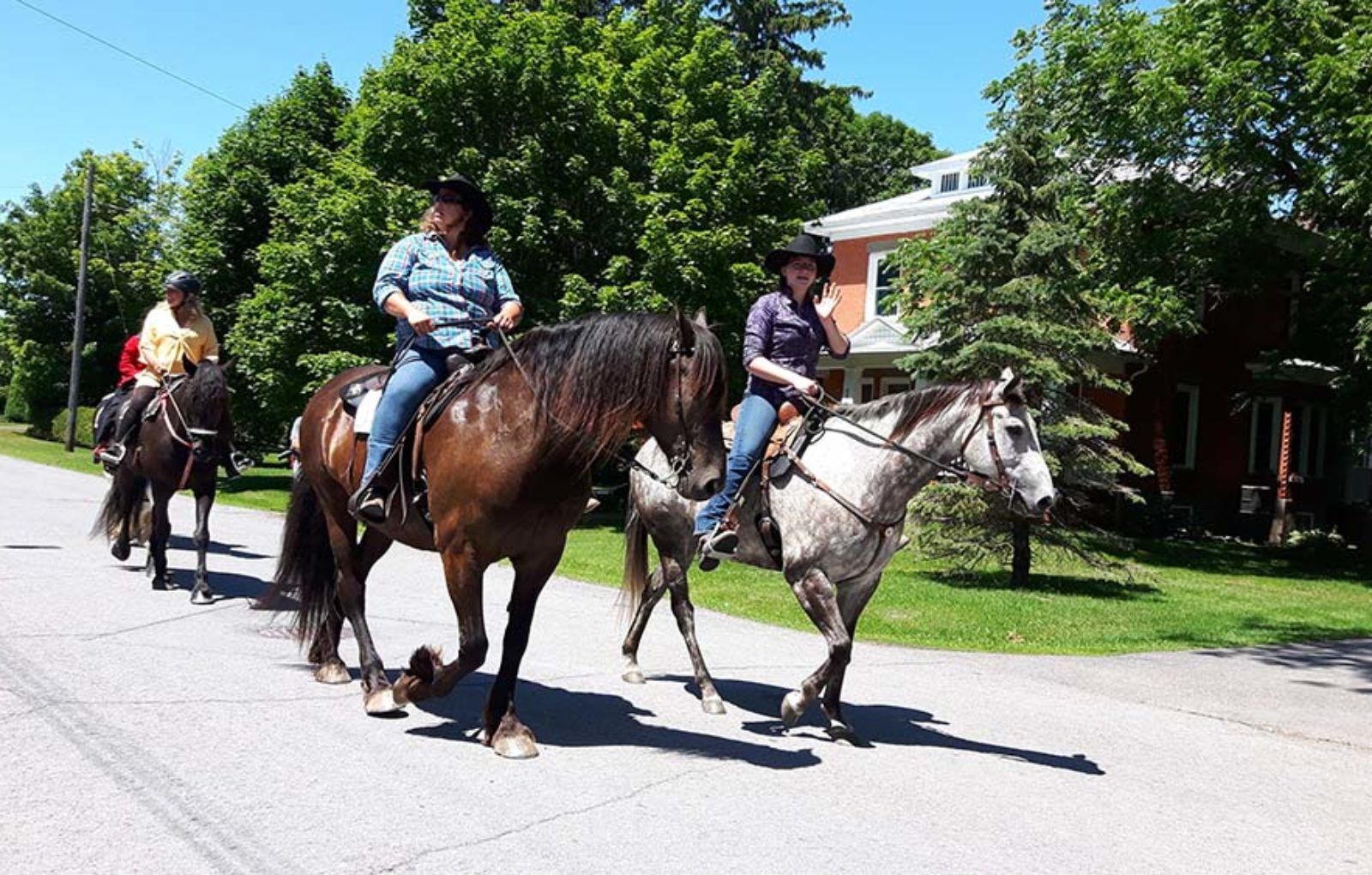LS_July 10 2019 Horse and Buggy Parade (7)