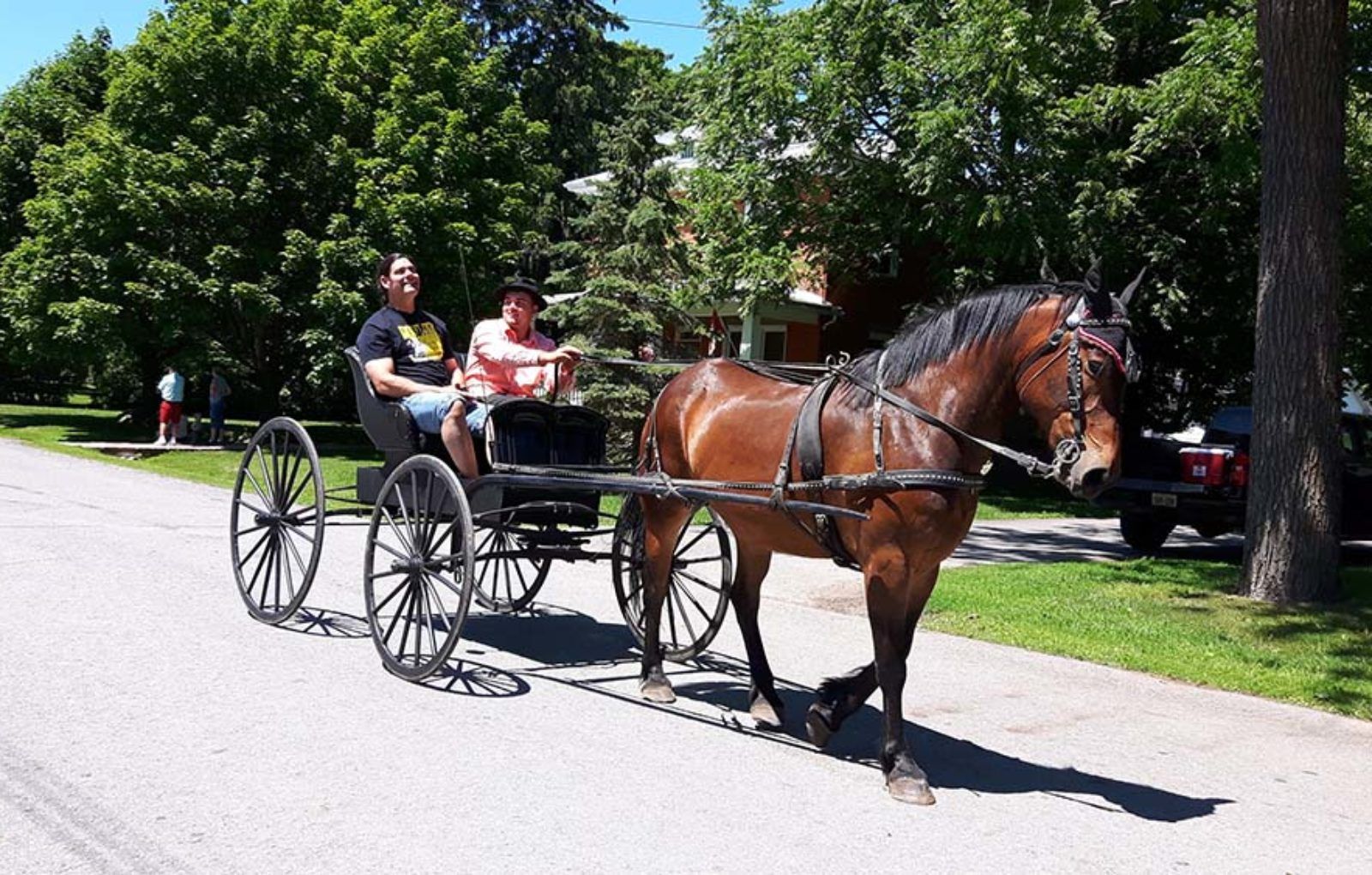 LS_July 10 2019 Horse and Buggy Parade (79)