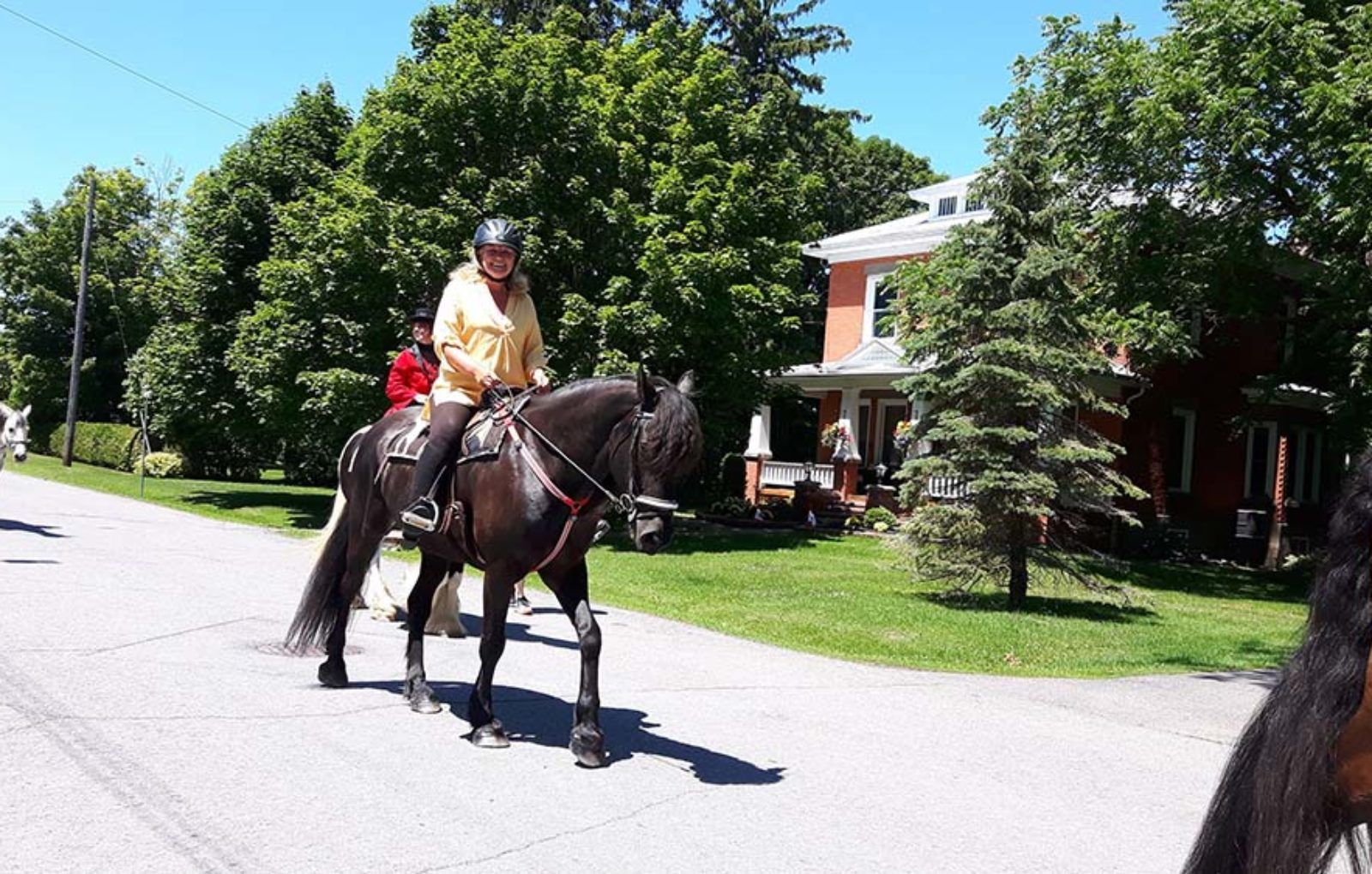LS_July 10 2019 Horse and Buggy Parade (8)