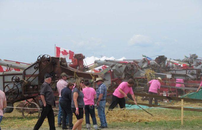JM_AU1119_StAlbertGuinnessThreshing01