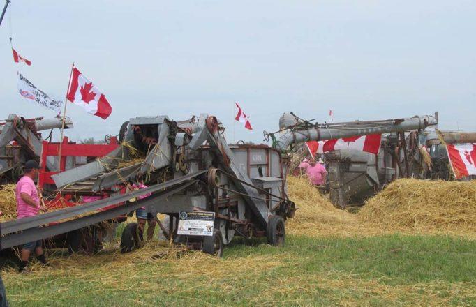 JM_AU1119_StAlbertGuinnessThreshing02