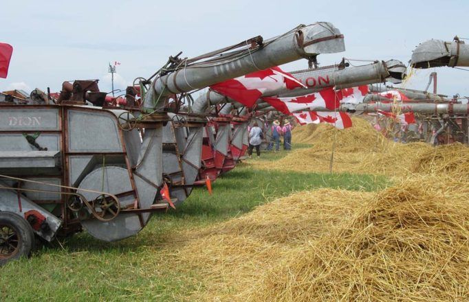 JM_AU1119_StAlbertGuinnessThreshing03