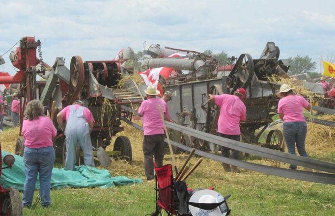 JM_AU1119_StAlbertGuinnessThreshing04