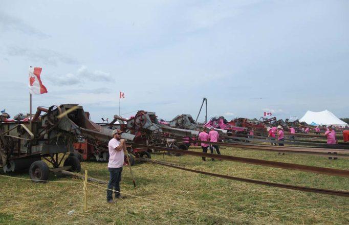 JM_AU1119_StAlbertGuinnessThreshing05