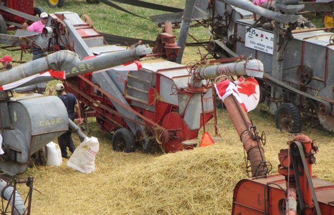JM_AU1119_StAlbertGuinnessThreshing08