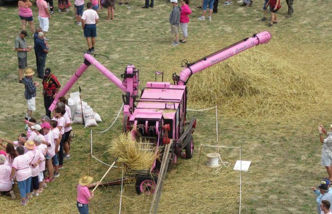 JM_AU1119_StAlbertGuinnessThreshing09