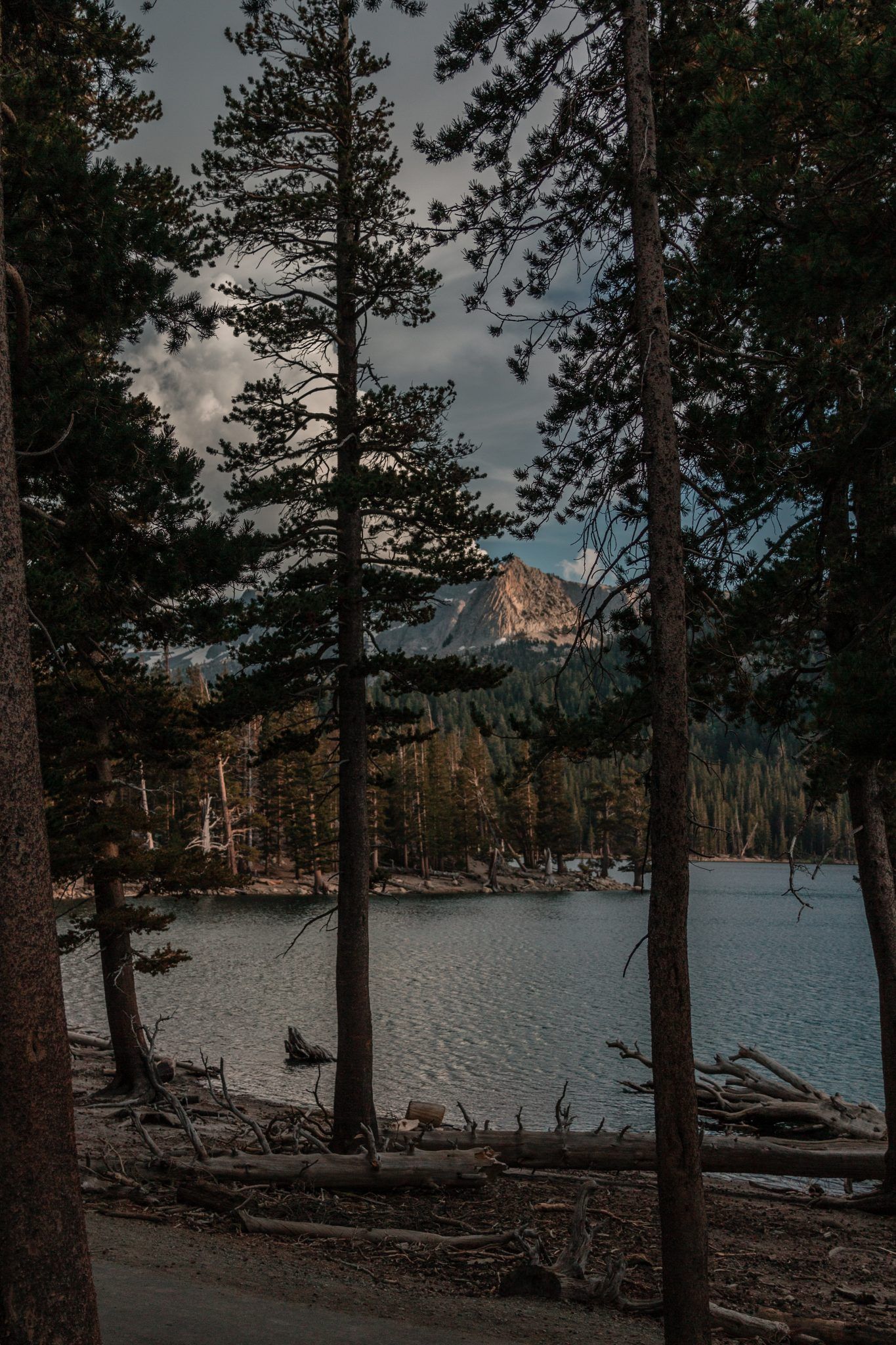 Coureurs Des Bois Challenge