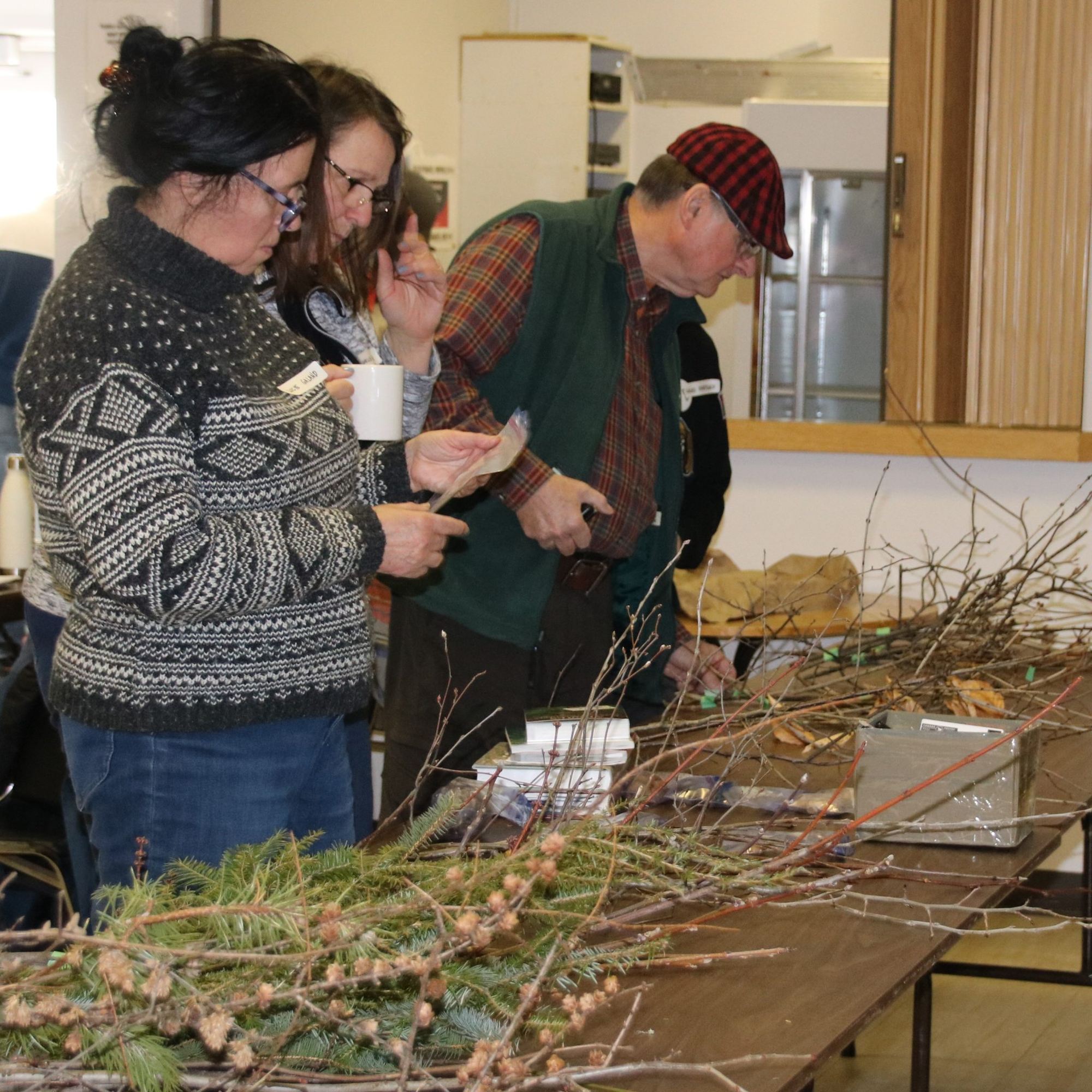 Learning tree identification techniques for winter