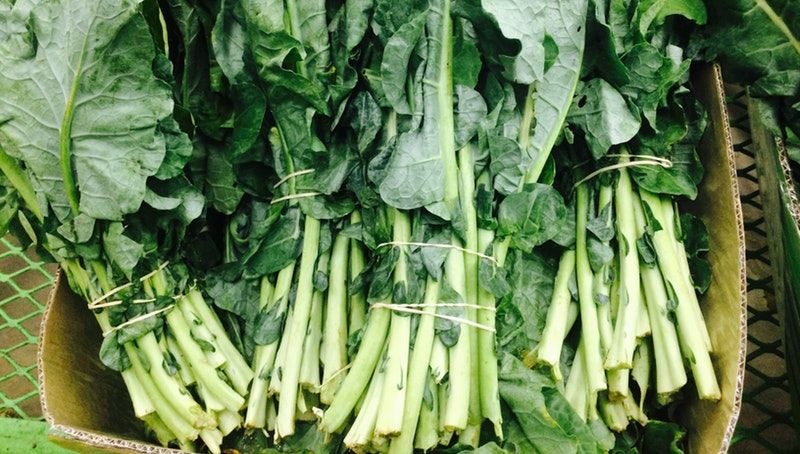 OFA wants to develop plan, strategy related to foreign workers for coming growing, harvest season