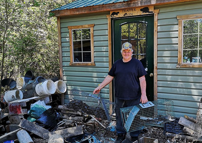 Fisher spotted frequently in Vankleek Hill during the winter