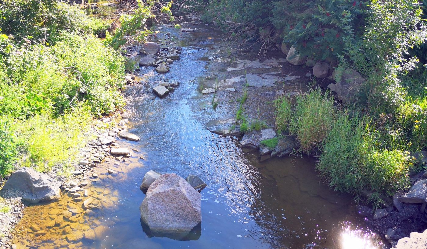 Eastern Ontario fish species stressed, but resilient under hot, dry conditions