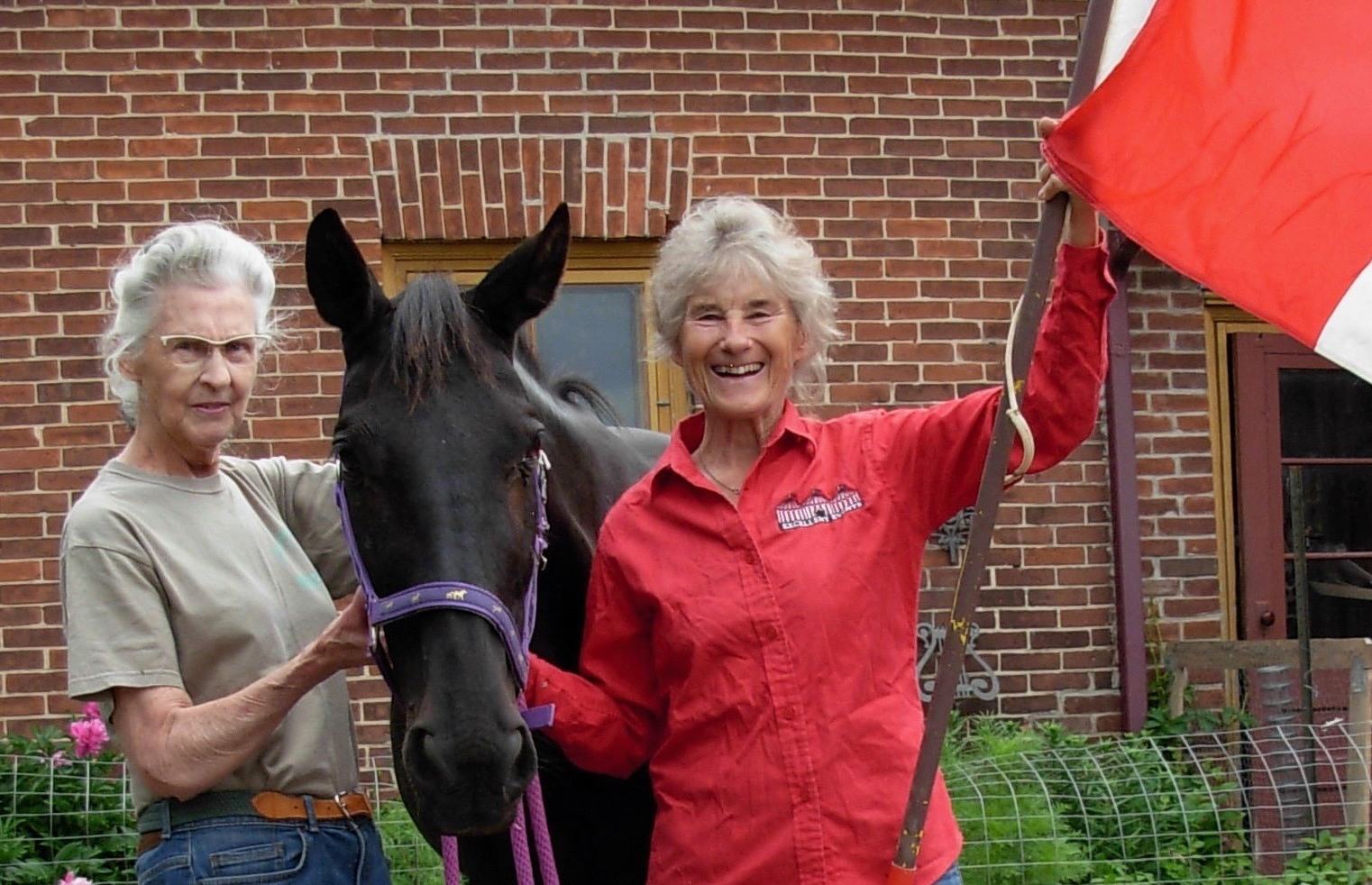 Horse and Buggy Parade was a virtual success