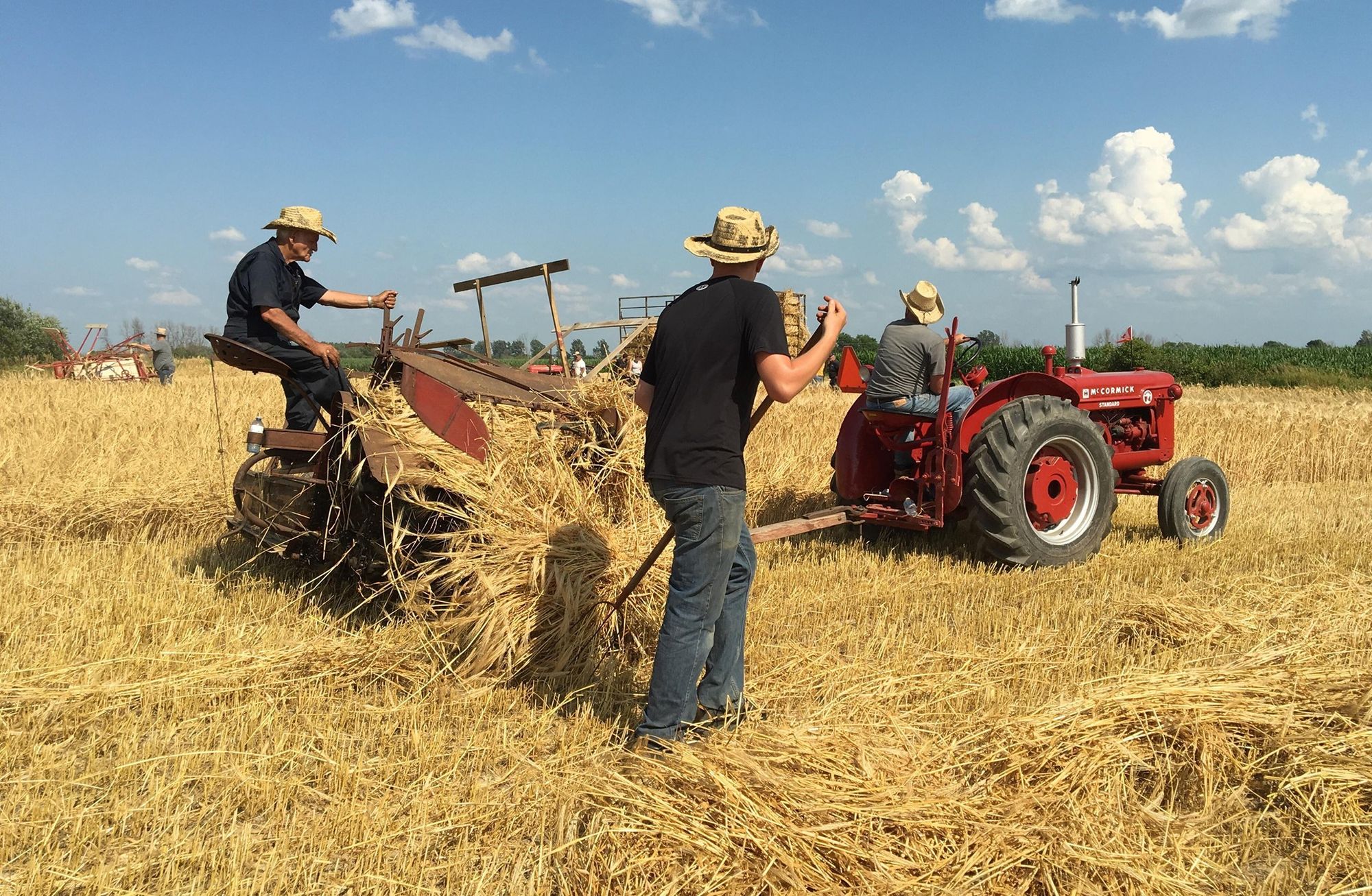 Farmers in Eastern Ontario share with local food banks