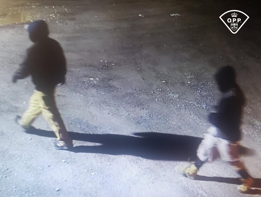 OPP looking for help to identify individuals caught on camera during theft in Hawkesbury