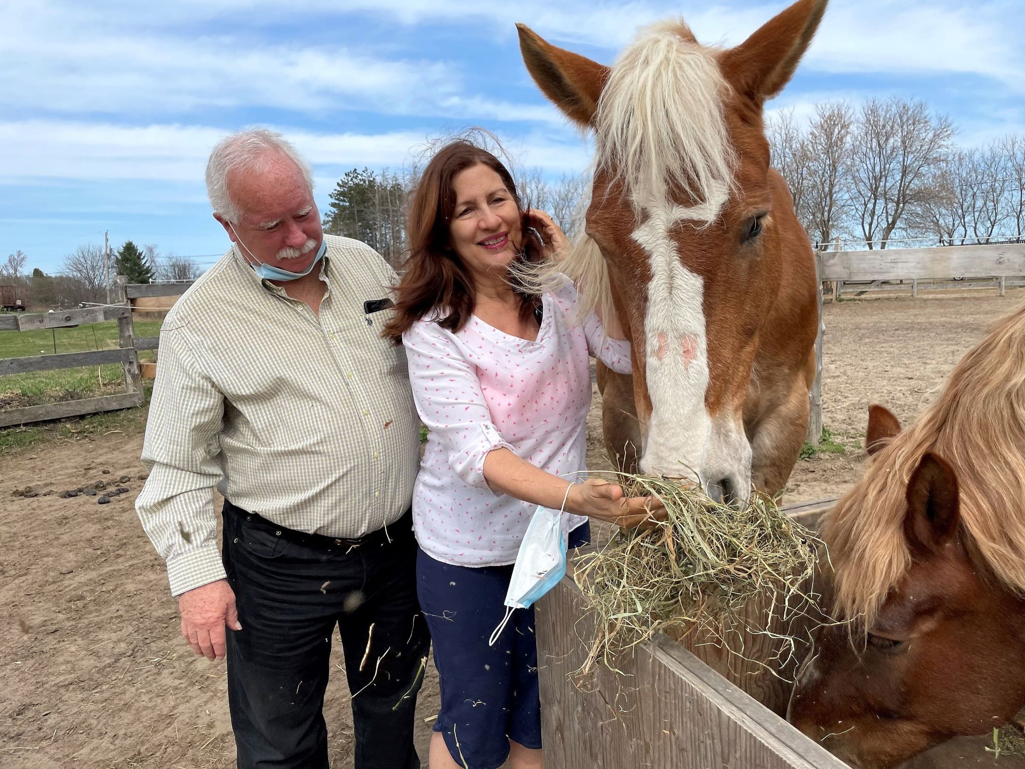 A Horse Tale Rescue provides care for abandoned and injured animals