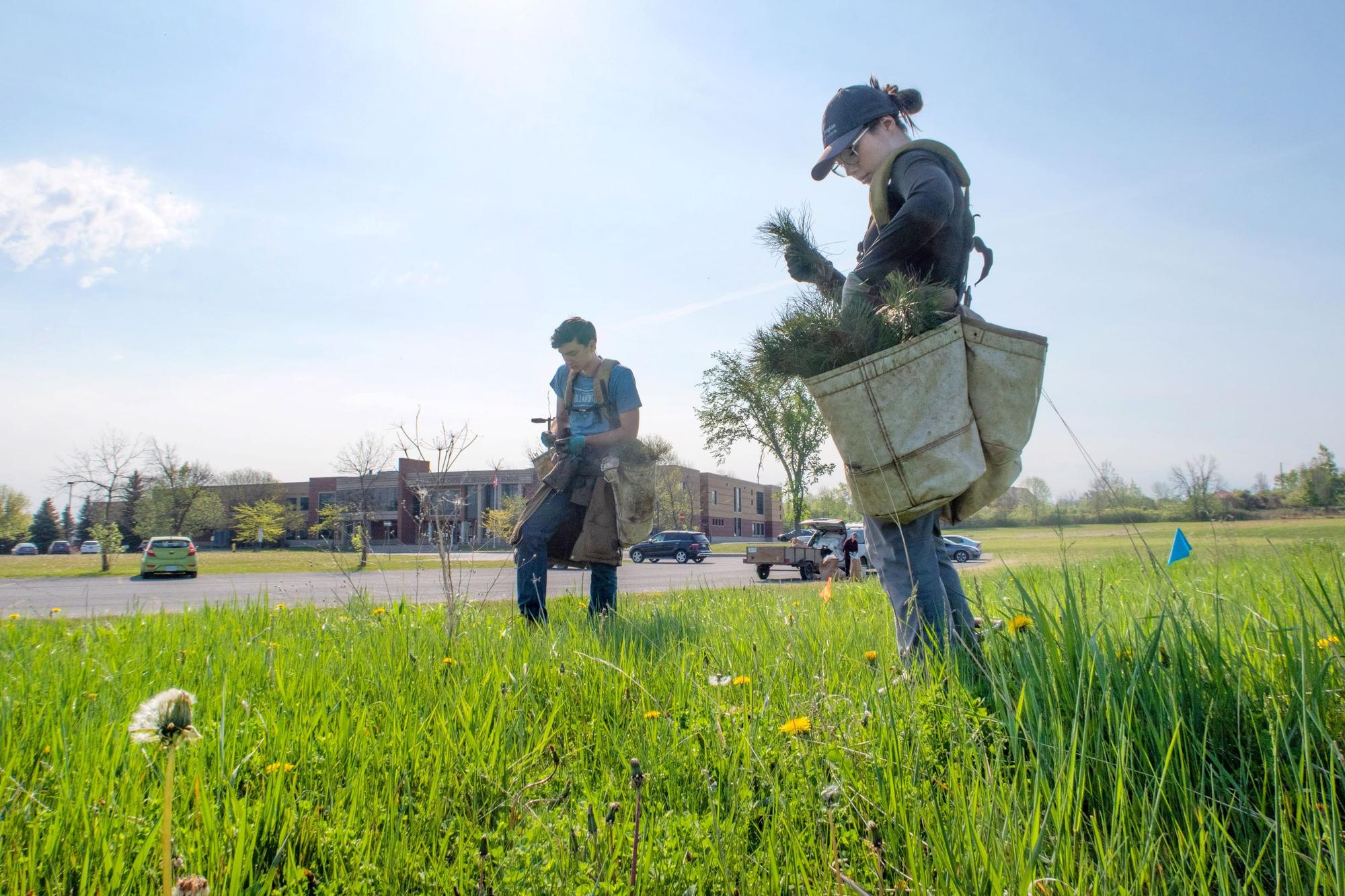 Raisin River Conservation Authority planting 60,000 trees in 2021