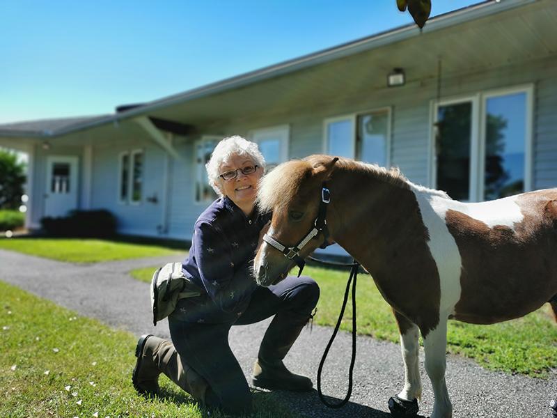 Miniature horse pays visit to Heritage Lodge