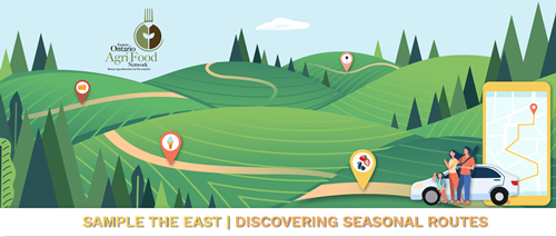 EOAN offers seasonal routes for visitors
