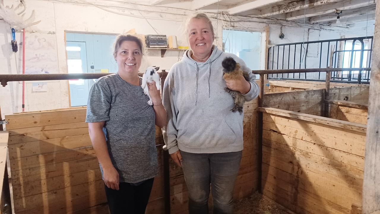 Animal rescue farm near Sainte-Anne-de Prescott in serious need of food, supplies, and volunteers