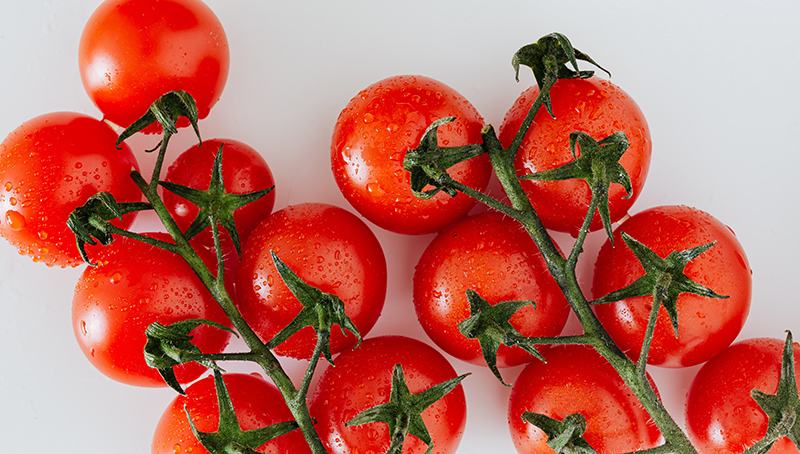 <span class="spa-indicator">Sponsored</span> The best vacuum sealers in Canada