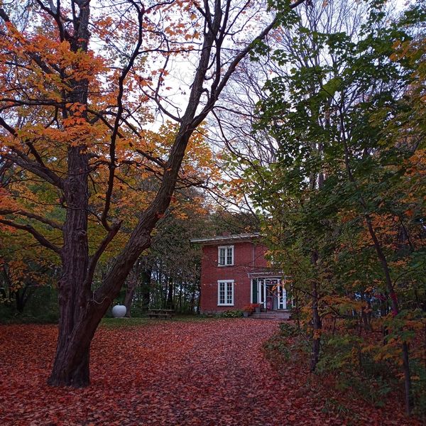 Arbor Gallery busy over the holidays, hoping for a successful year in 2022