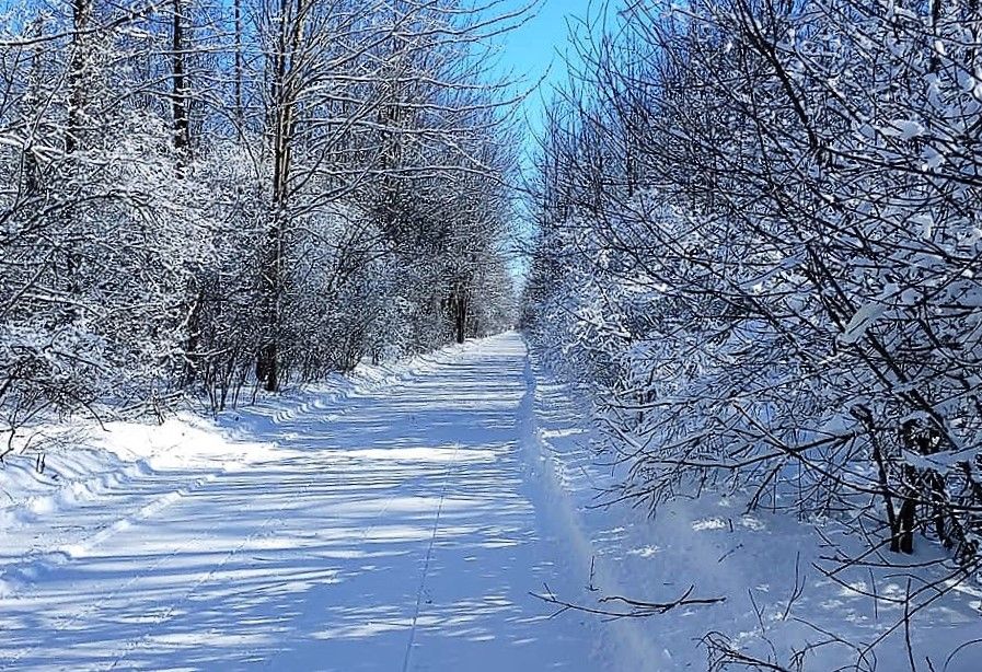 Area snowmobilers look forward to hitting the trails