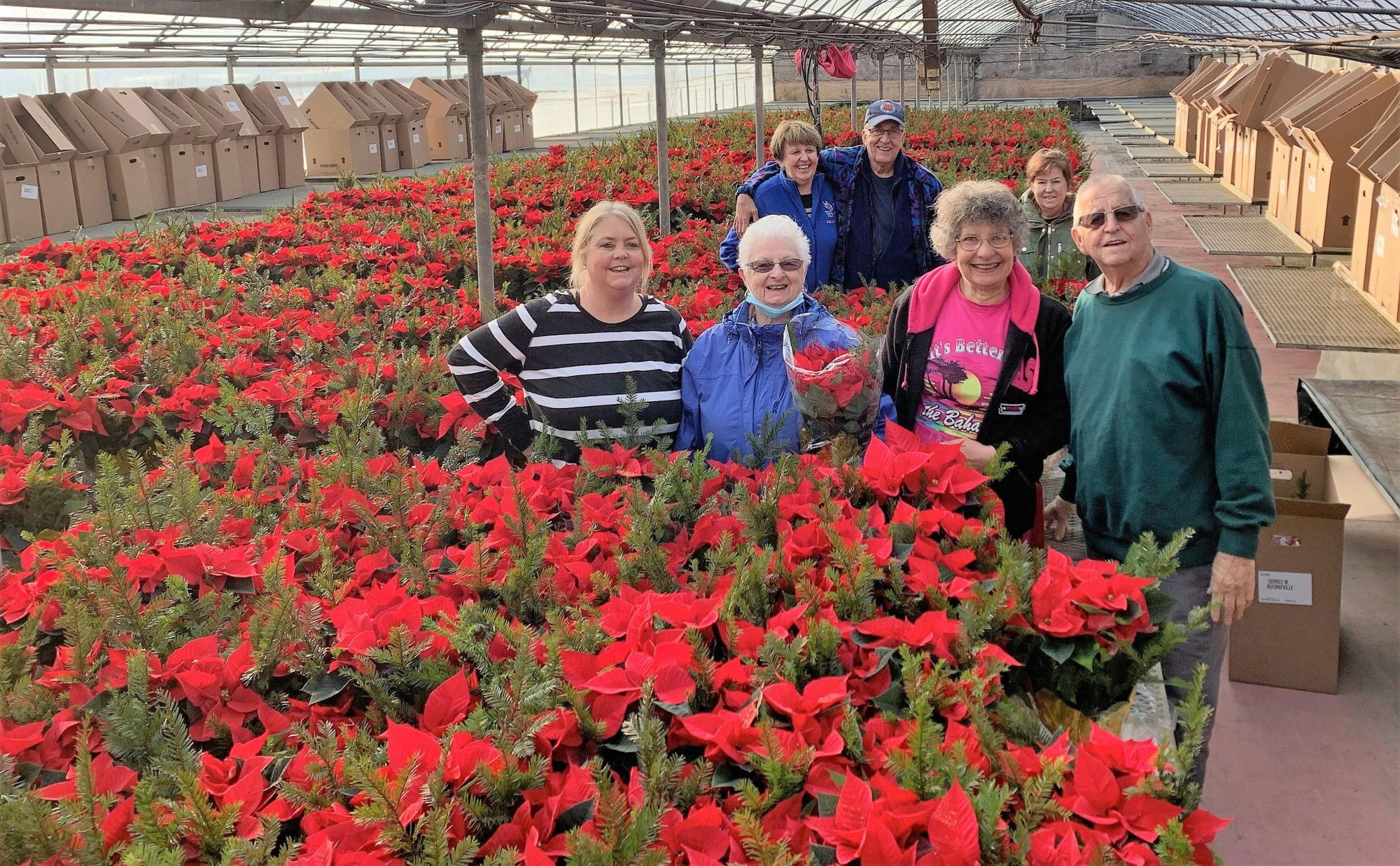 Poinsettia sale raises $25,000 for Maison Interlude House