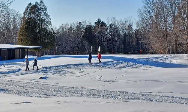 Twelve free or almost-free things to do: outdoors, indoors, museums