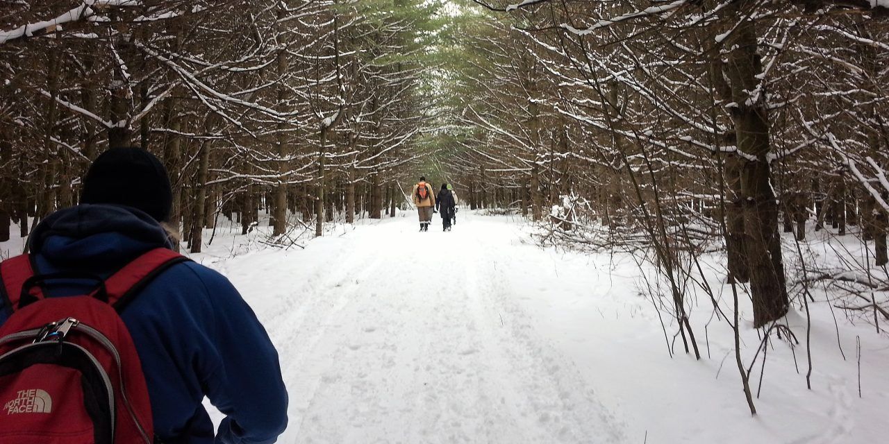 South Nation Conservation celebrating 75th anniversary in 2022
