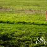 Council pay increases